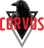 Corvus